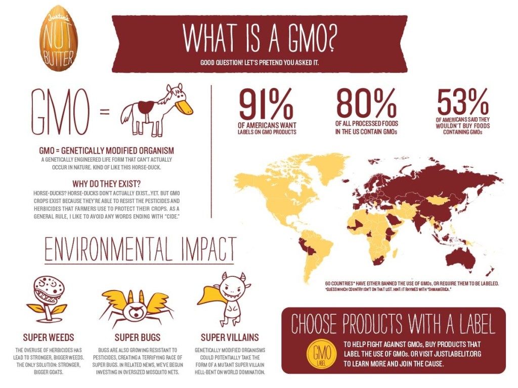 What is GMO infographic