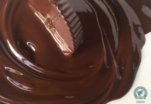 JUSTIN’S CHOCOLATE MADE WITH RAINFOREST ALLIANCE CERTIFIED COCOA