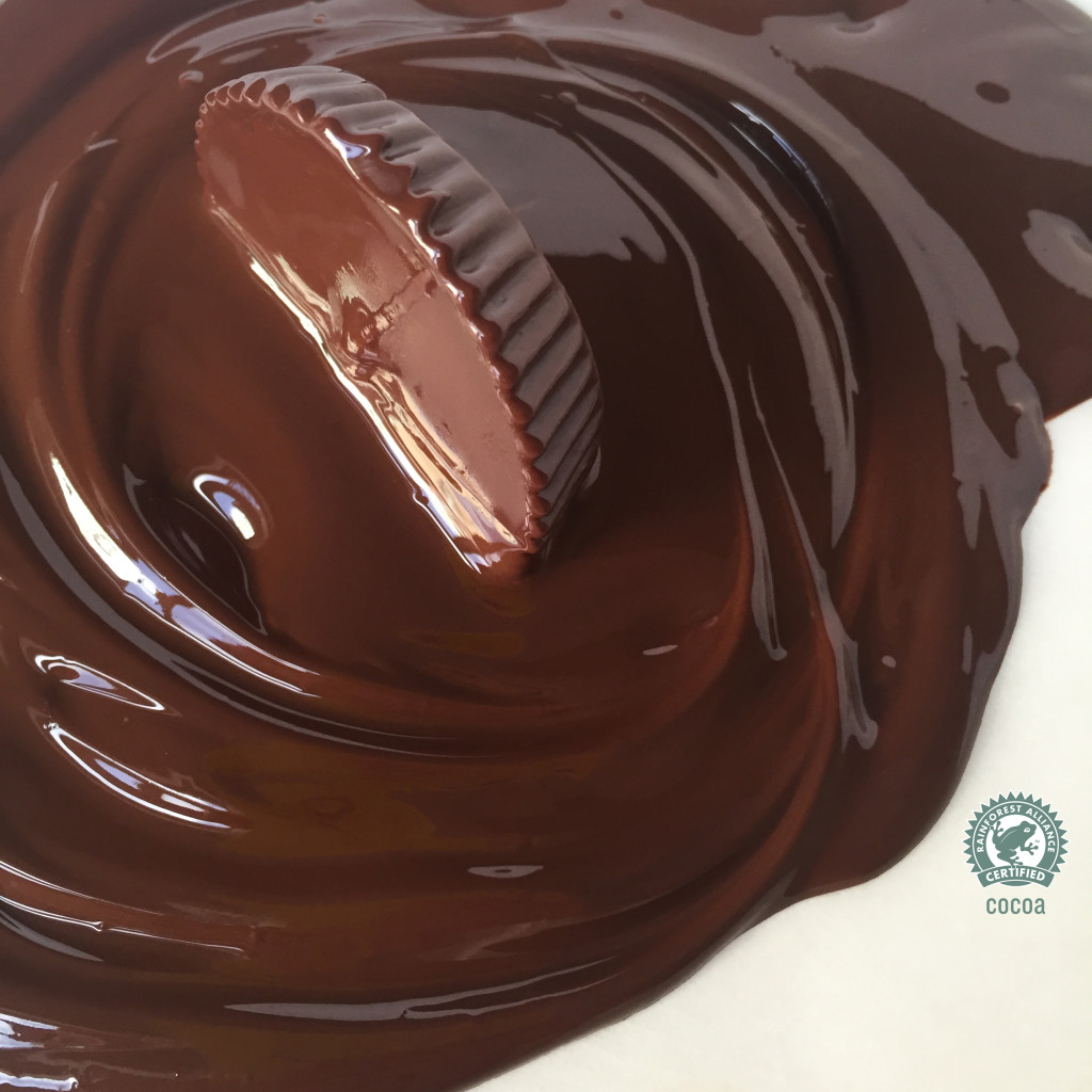 JUSTIN’S CHOCOLATE MADE WITH RAINFOREST ALLIANCE CERTIFIED COCOA